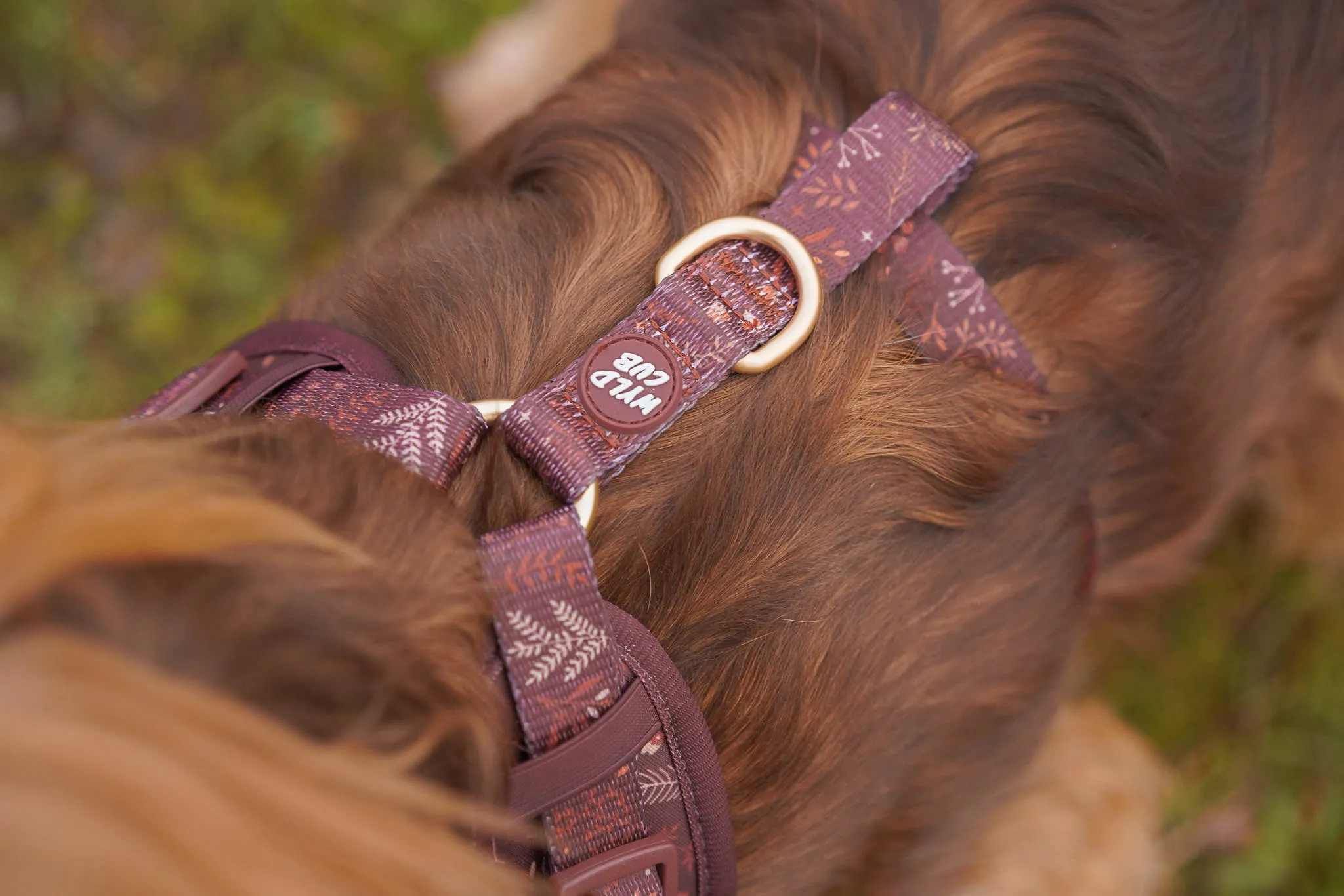 Adjustable Dog Harness: Chiswick Chestnut