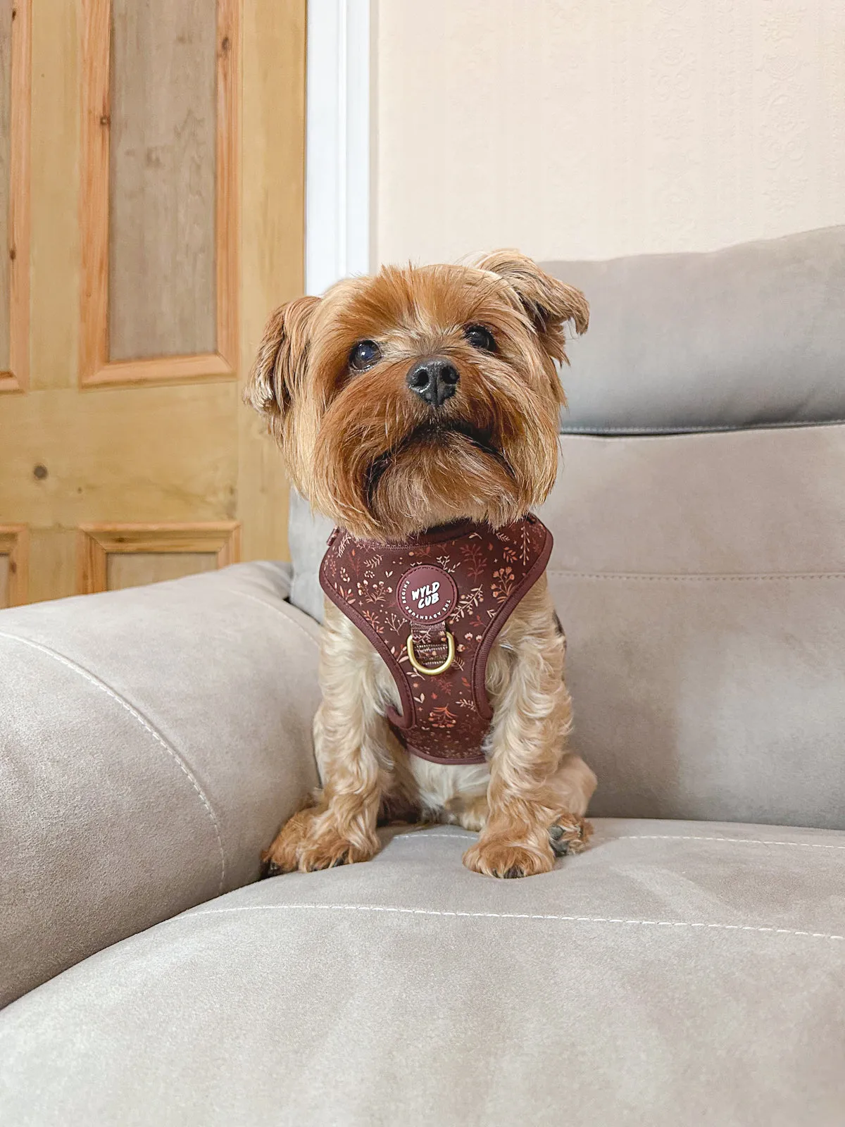 Adjustable Dog Harness: Chiswick Chestnut