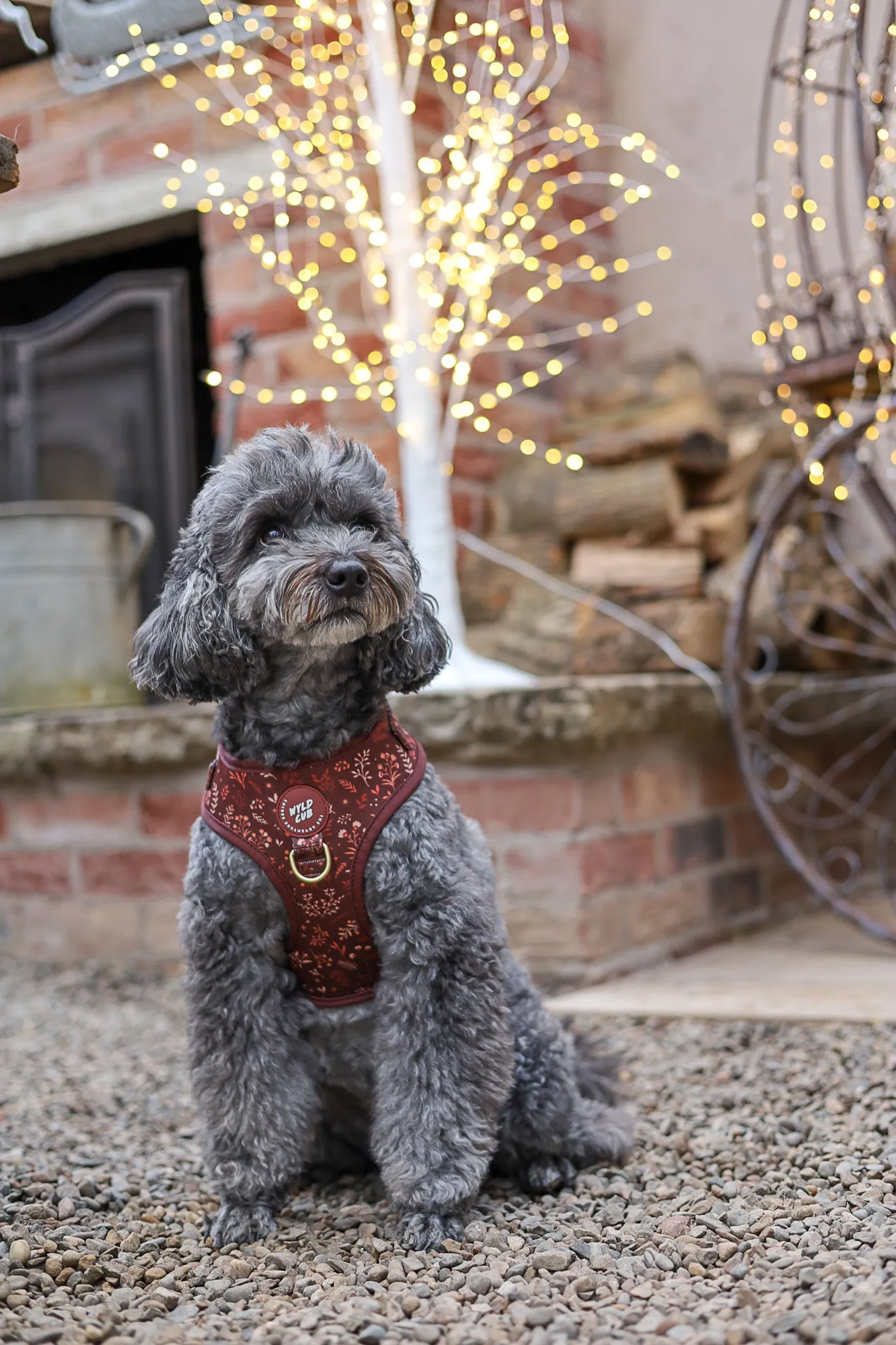 Adjustable Dog Harness: Chiswick Chestnut