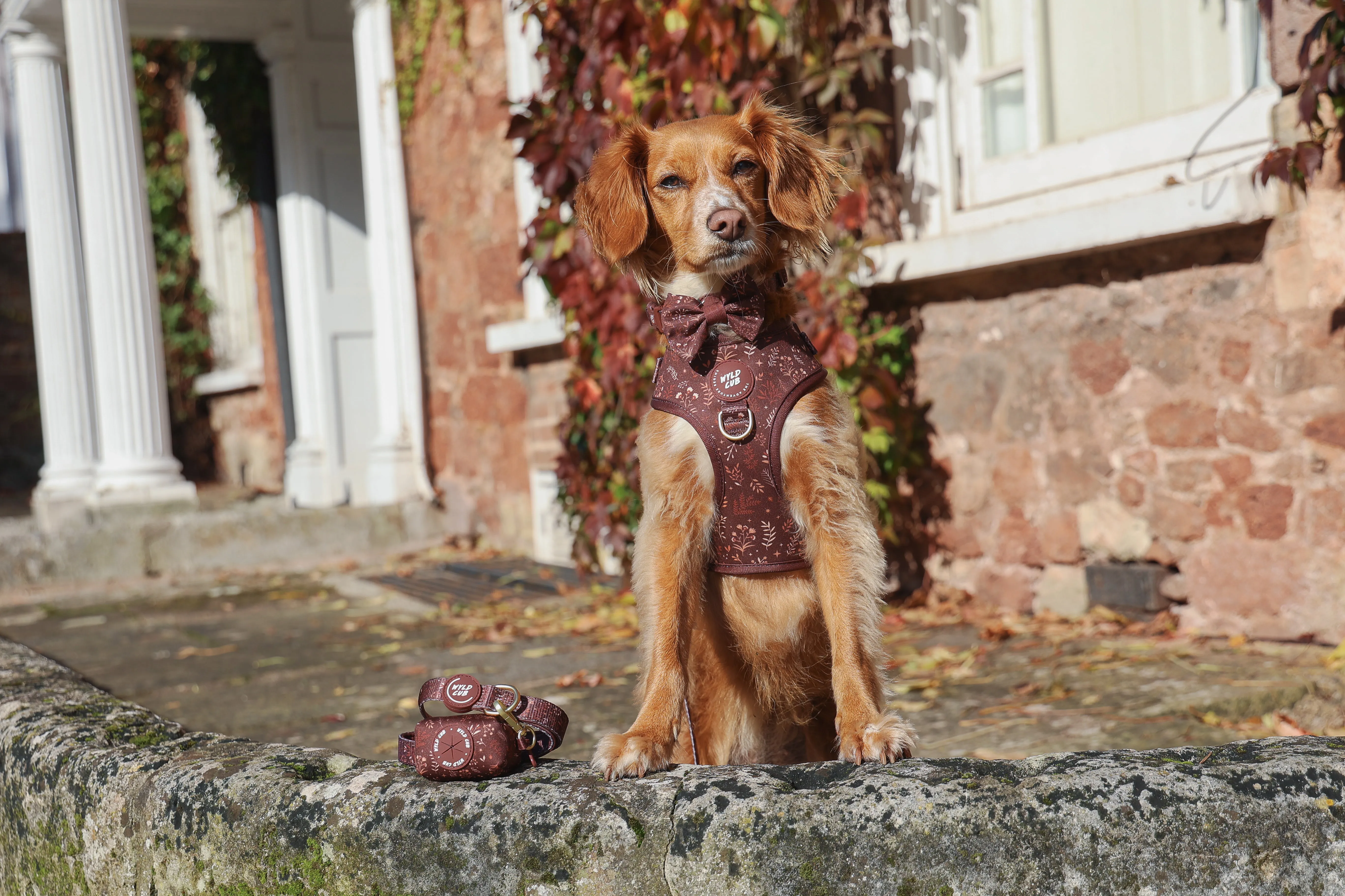Adjustable Dog Harness: Chiswick Chestnut