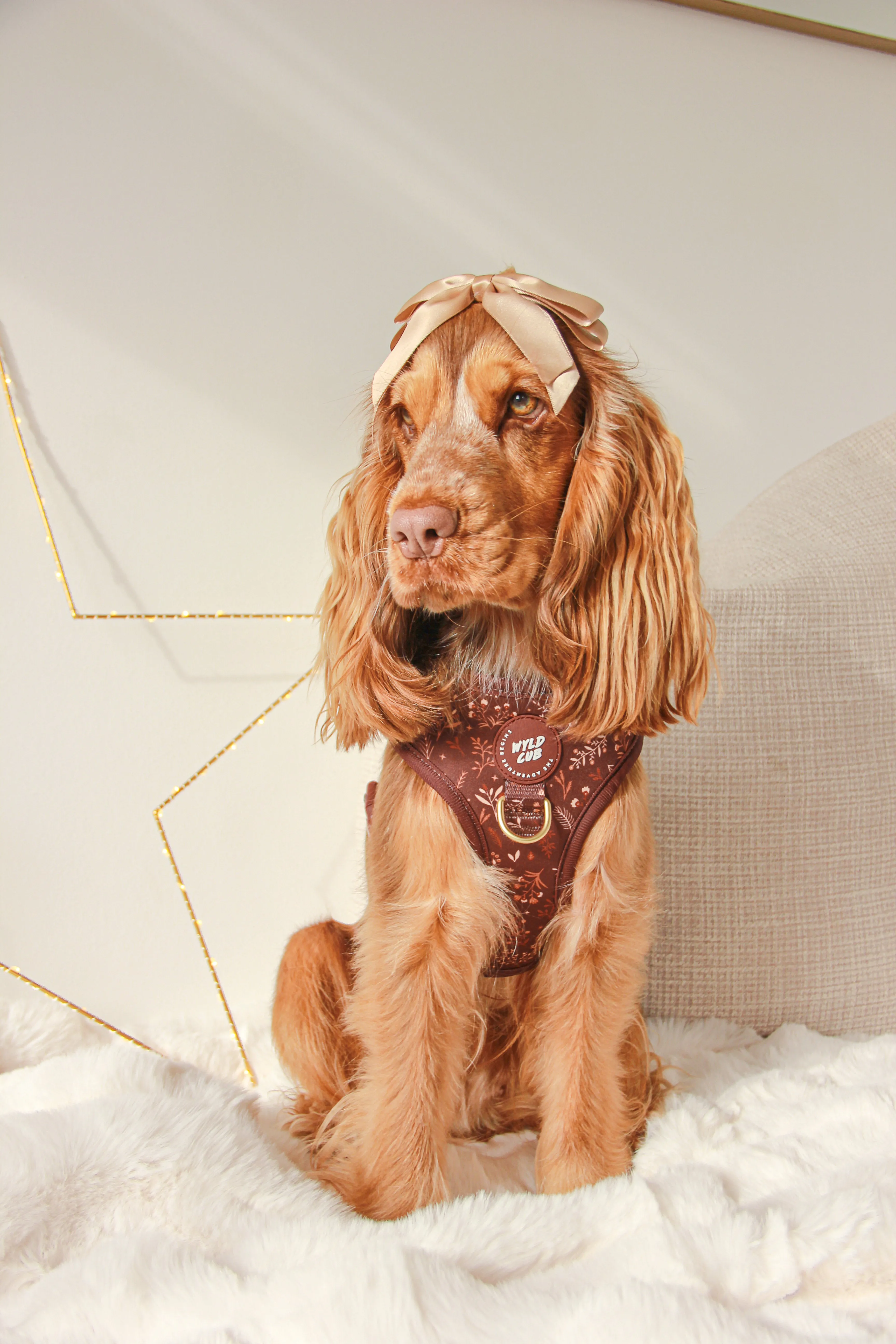 Adjustable Dog Harness: Chiswick Chestnut