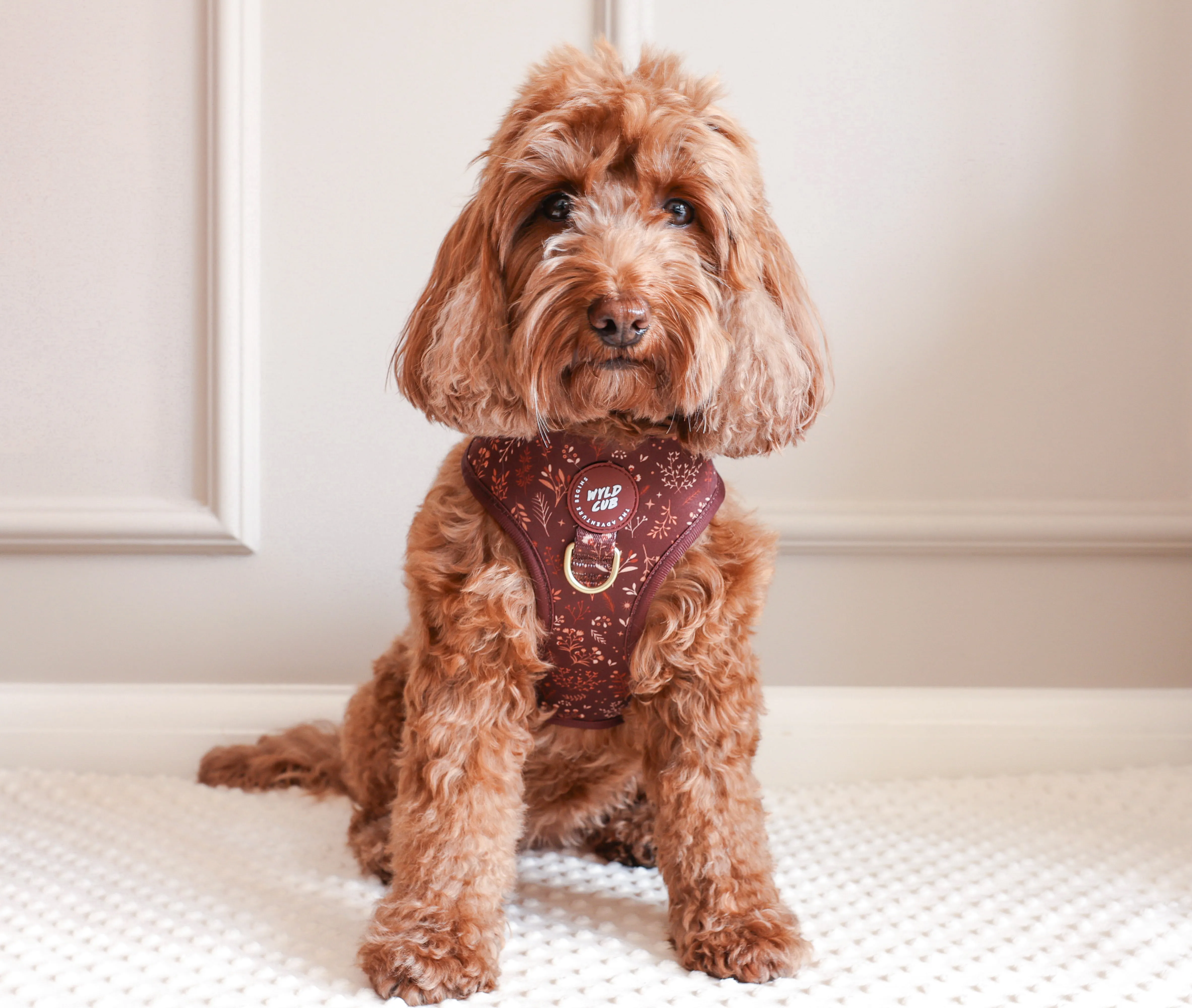 Adjustable Dog Harness: Chiswick Chestnut