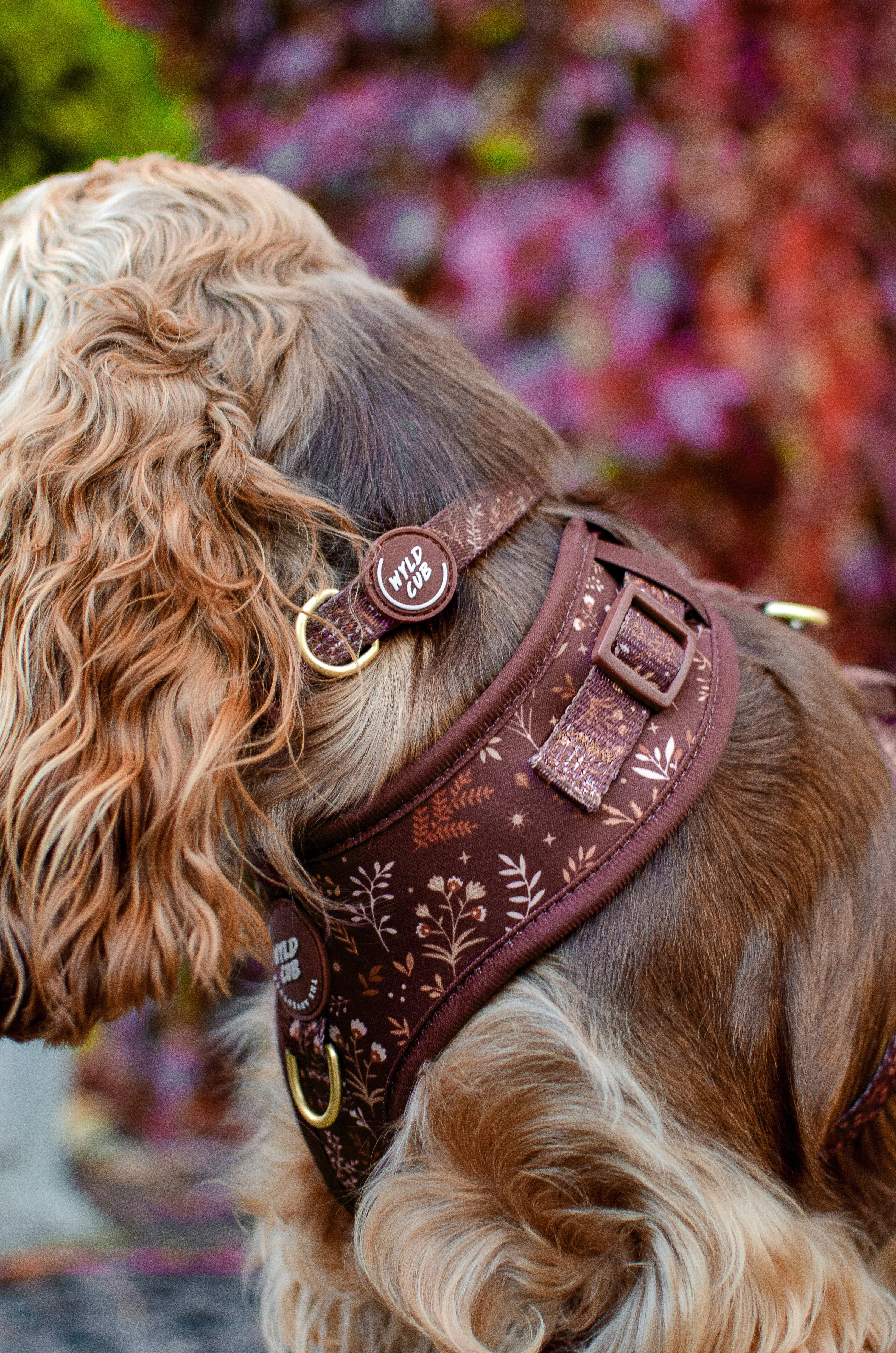 Adjustable Dog Harness: Chiswick Chestnut