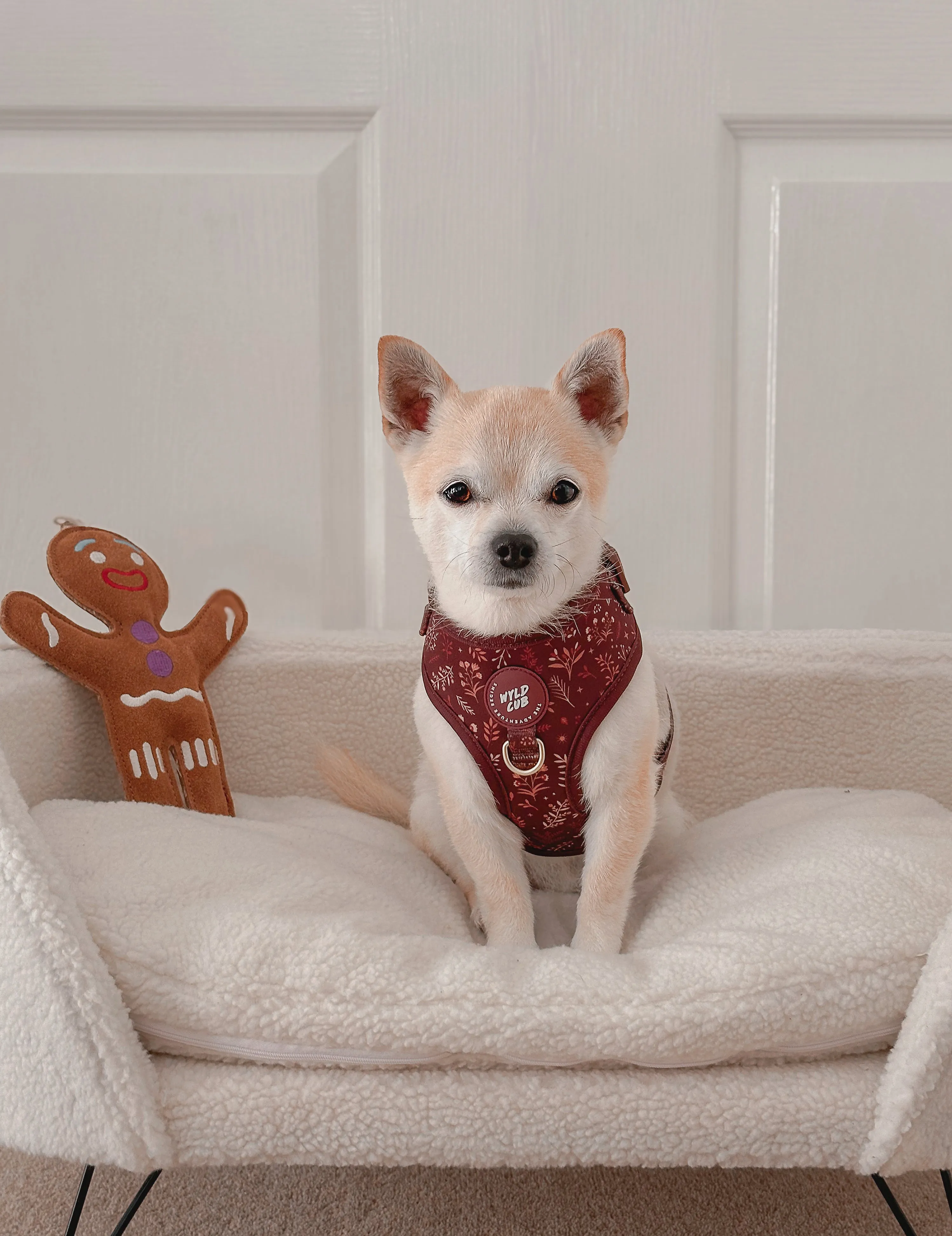 Adjustable Dog Harness: Chiswick Chestnut