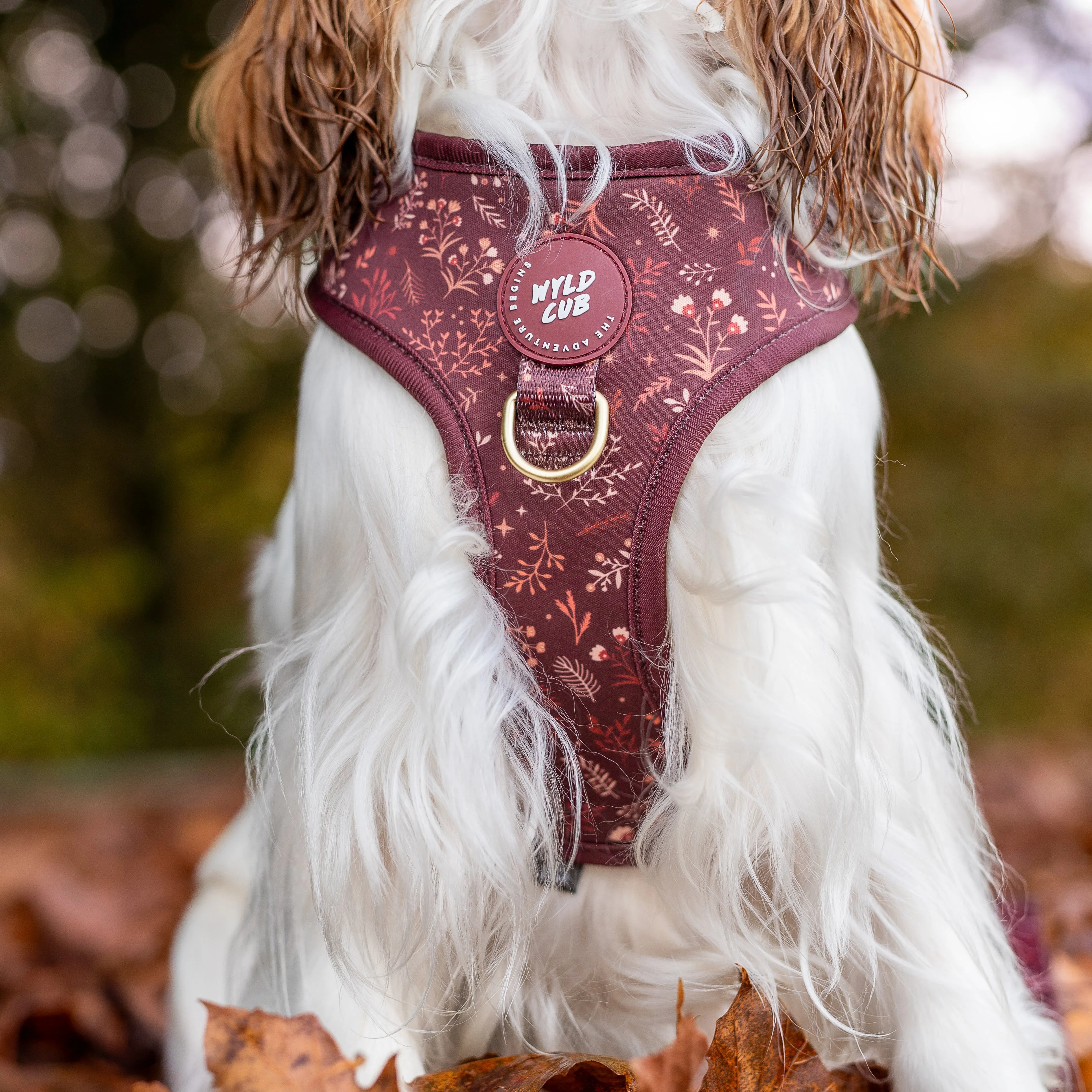 Adjustable Dog Harness: Chiswick Chestnut