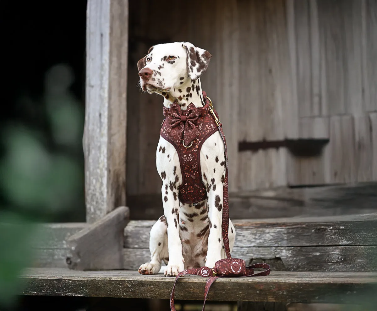 Adjustable Dog Harness: Chiswick Chestnut