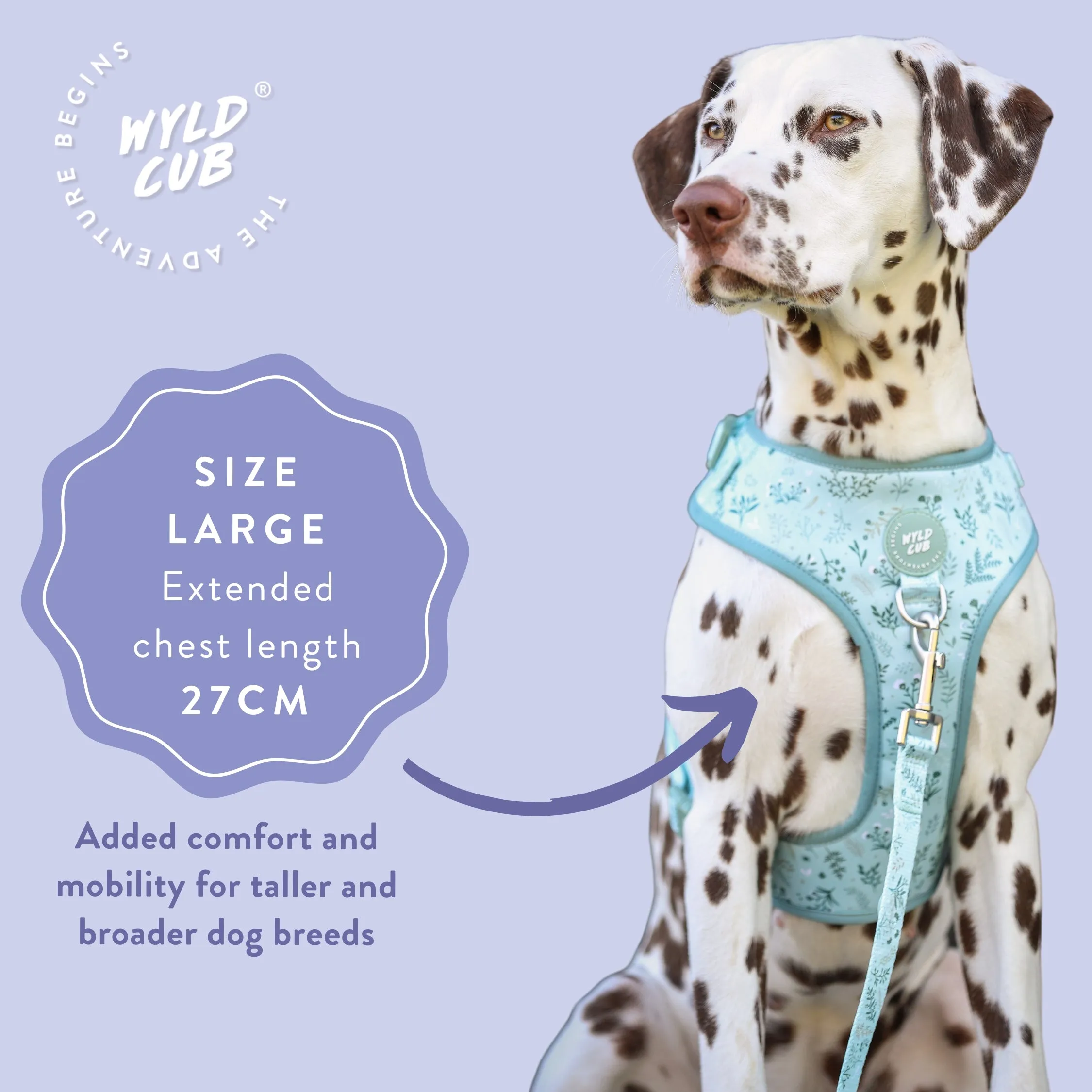 Adjustable Dog Harness: Chiswick Pistachio