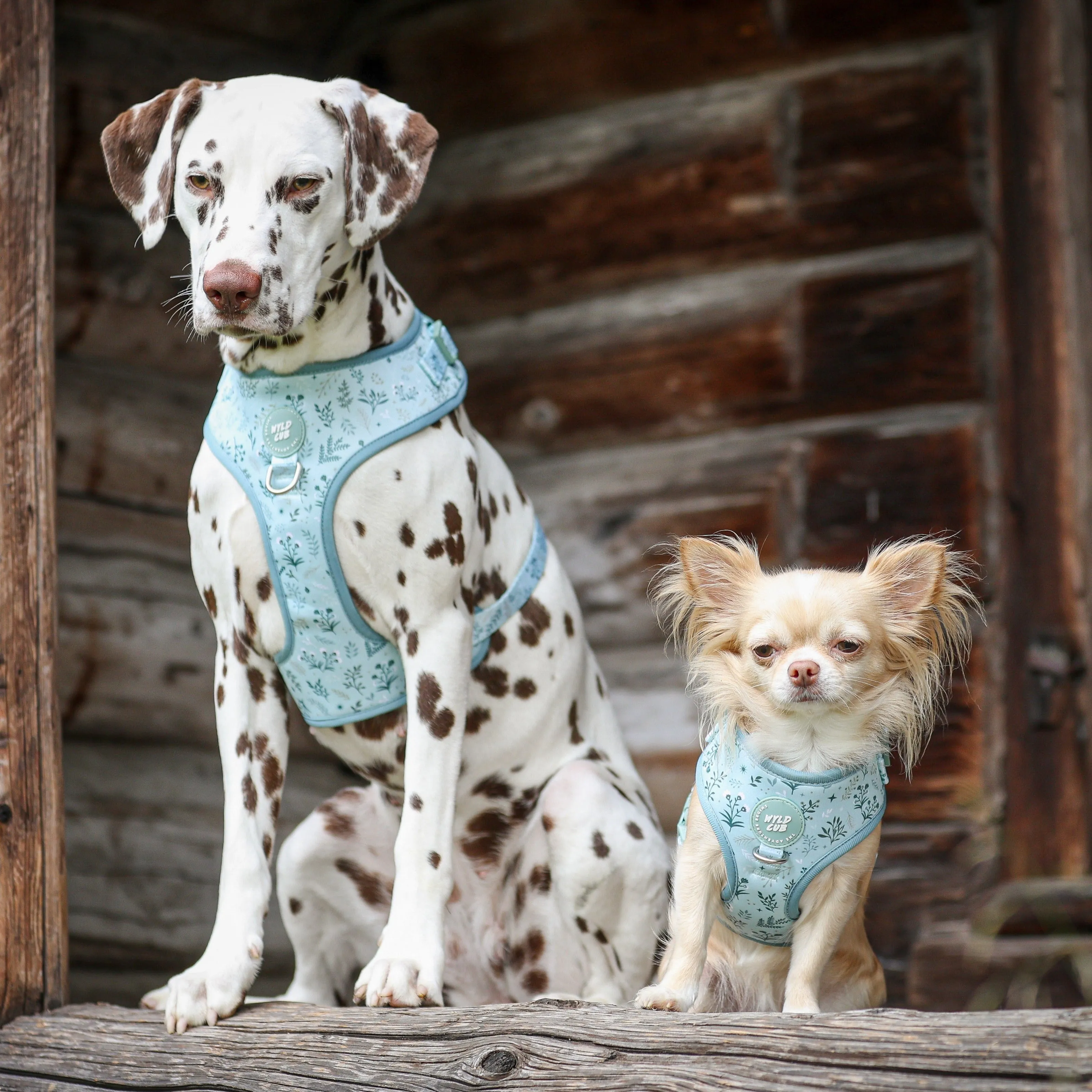 Adjustable Dog Harness: Chiswick Pistachio