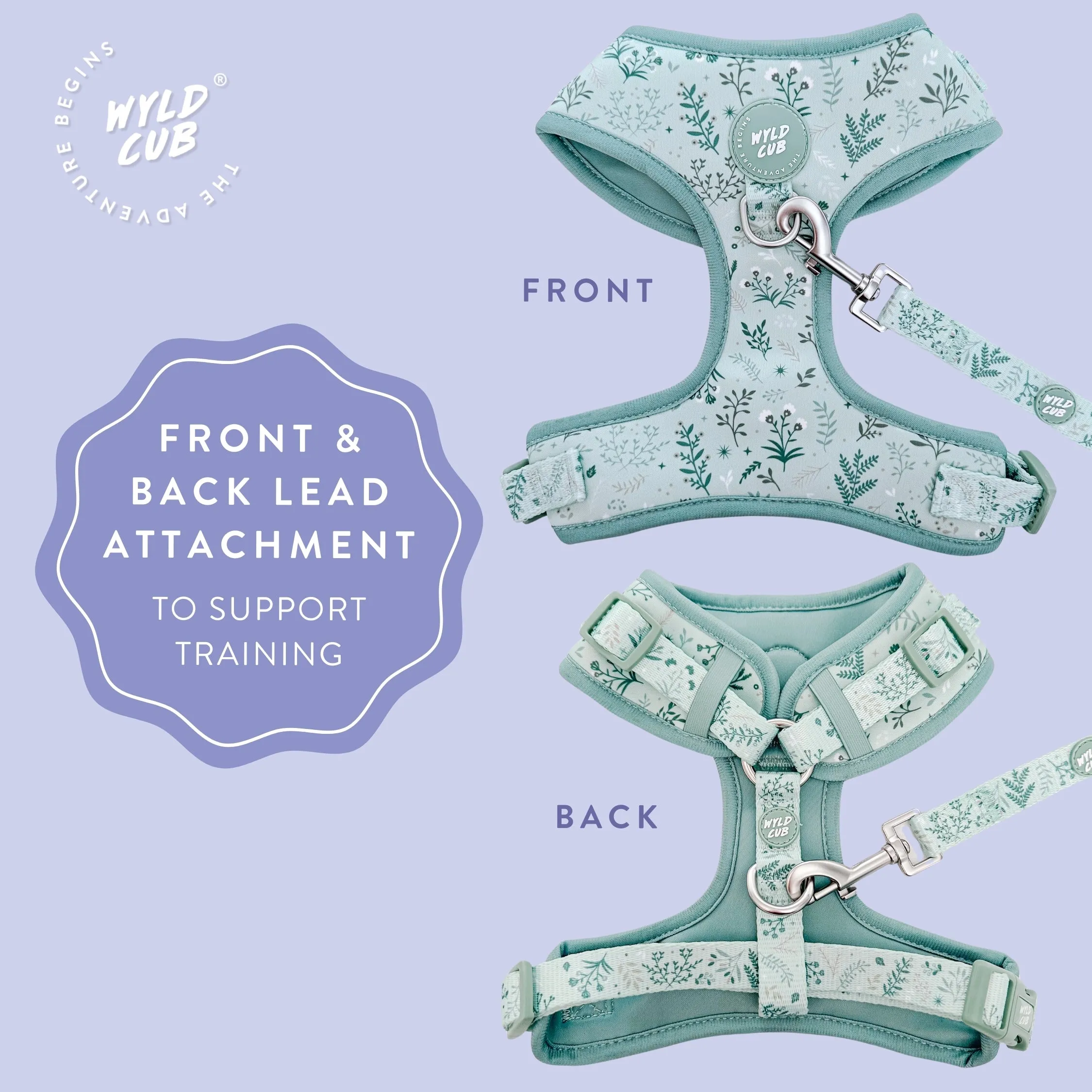 Adjustable Dog Harness: Chiswick Pistachio