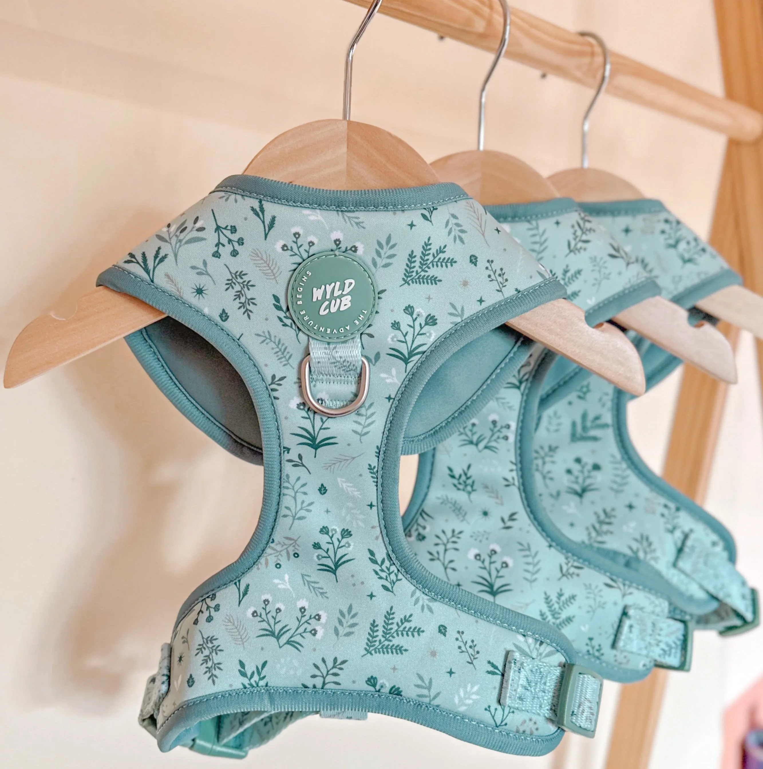Adjustable Dog Harness: Chiswick Pistachio