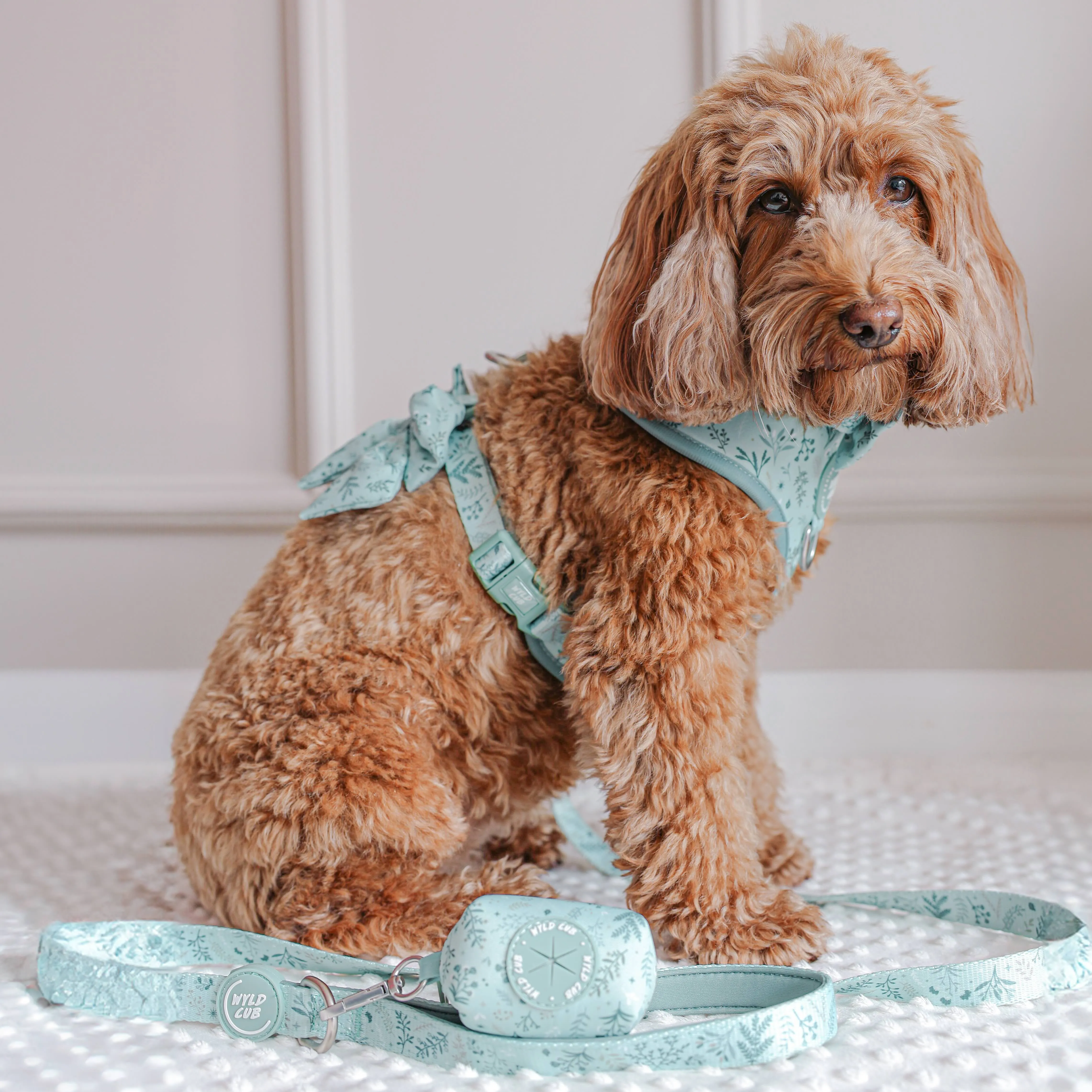 Adjustable Dog Harness: Chiswick Pistachio