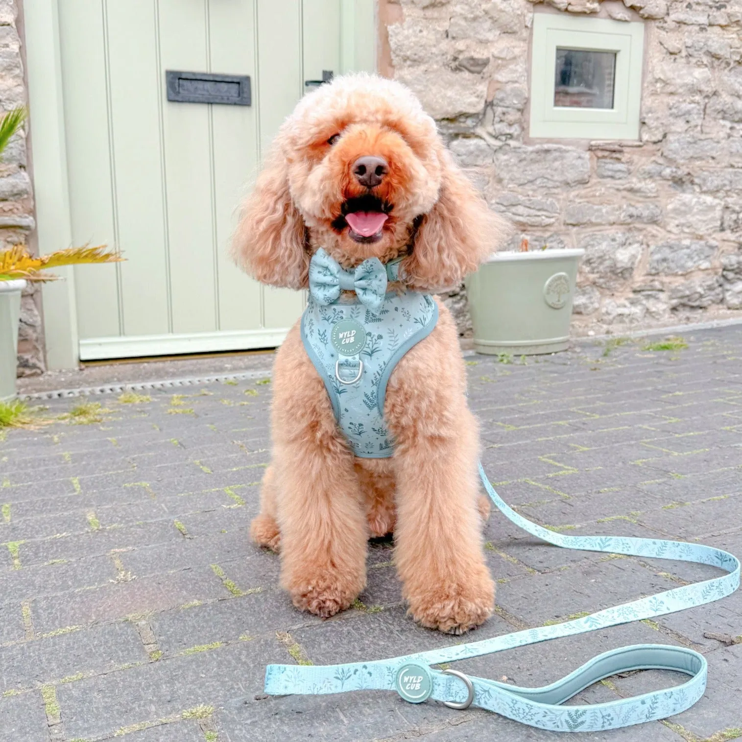 Adjustable Dog Harness: Chiswick Pistachio
