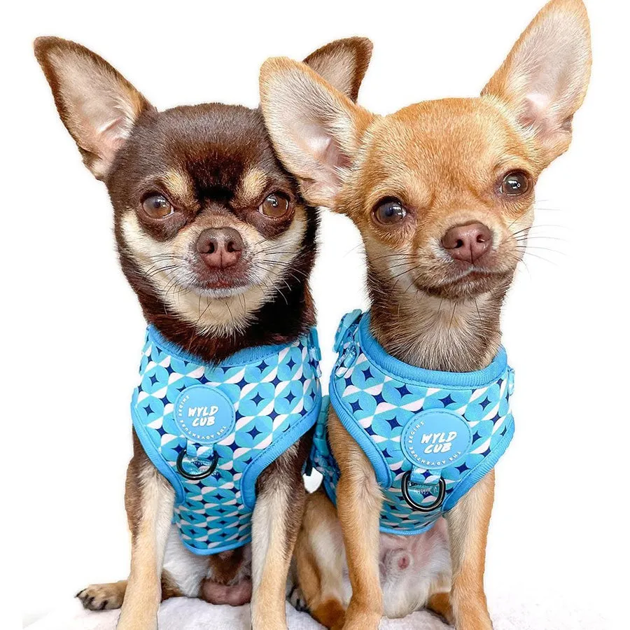 Adjustable Dog Harness: Knightsbridge Azure