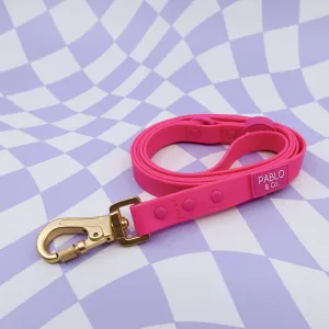 Dragonfruit Hot Pink Waterproof Leash