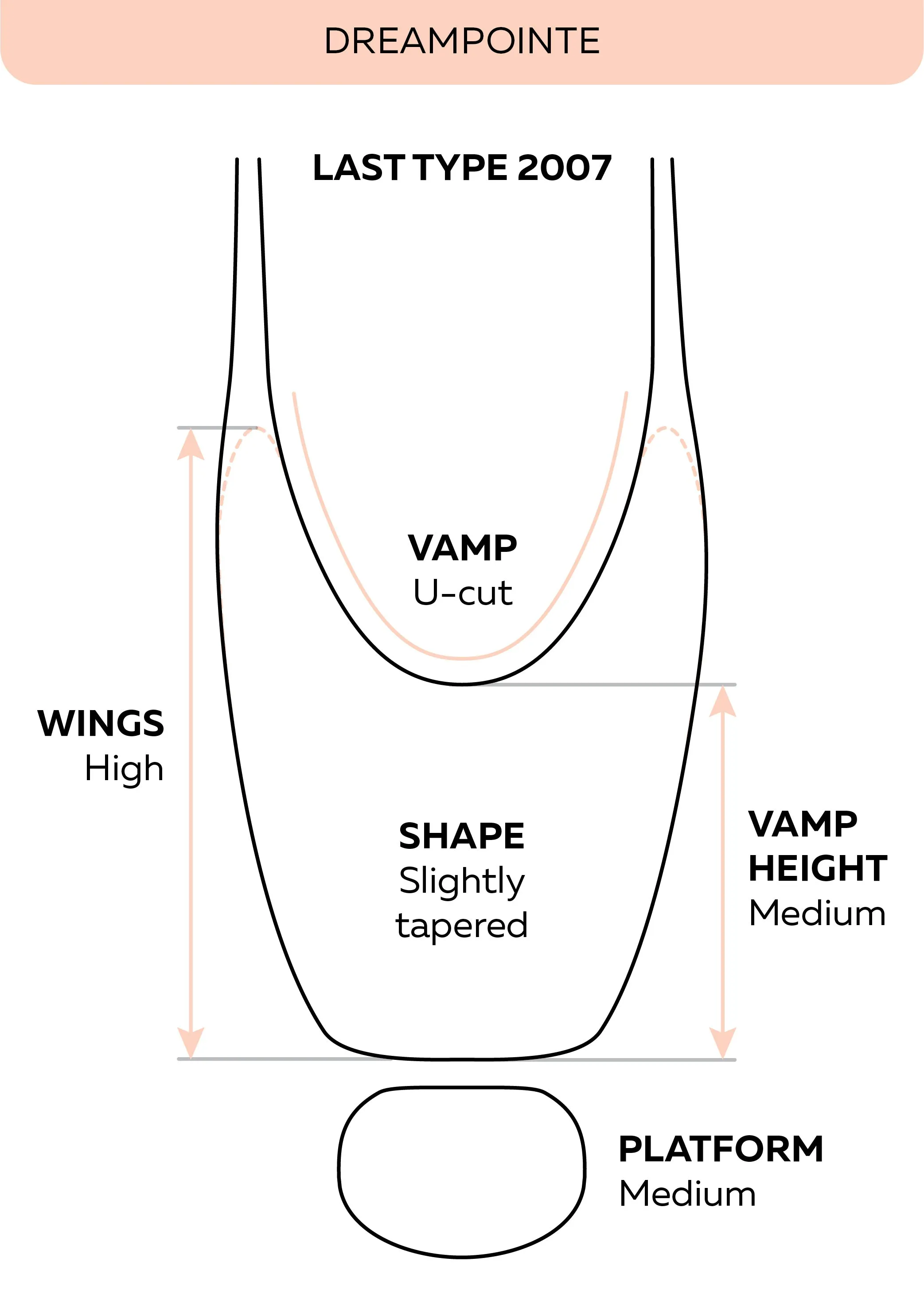 DreamPointe Pointe Shoes