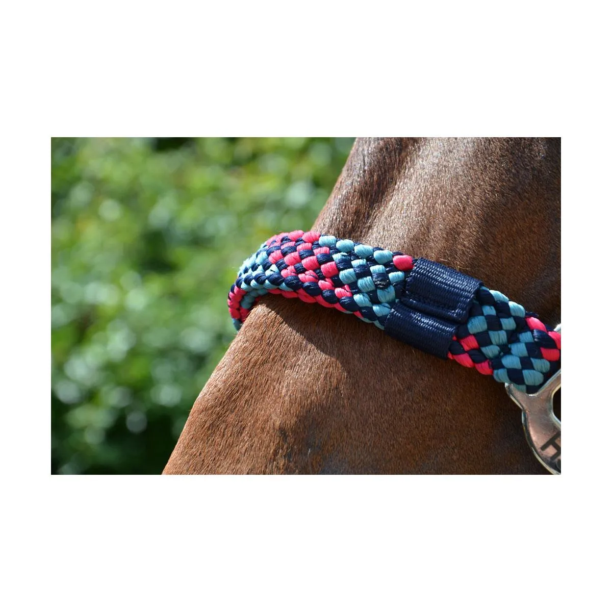 Hy Equestrian Multicolour Adjustable Head Collar with Rope