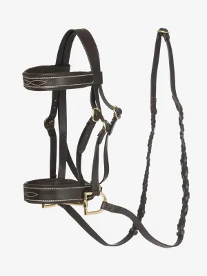 LeMieux Hobby Hunter Bridle