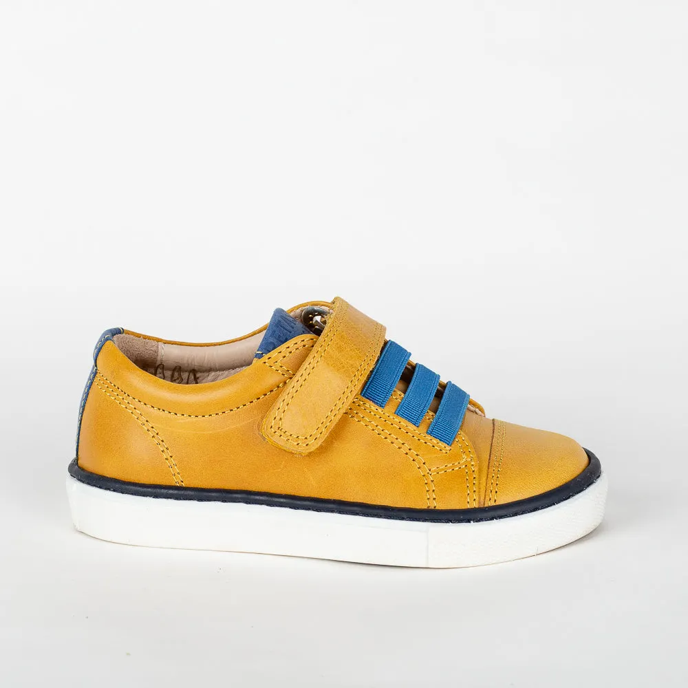 Petasil  Ryan 3 Mustard / Lapiz Denver