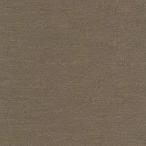Slinky-Bark