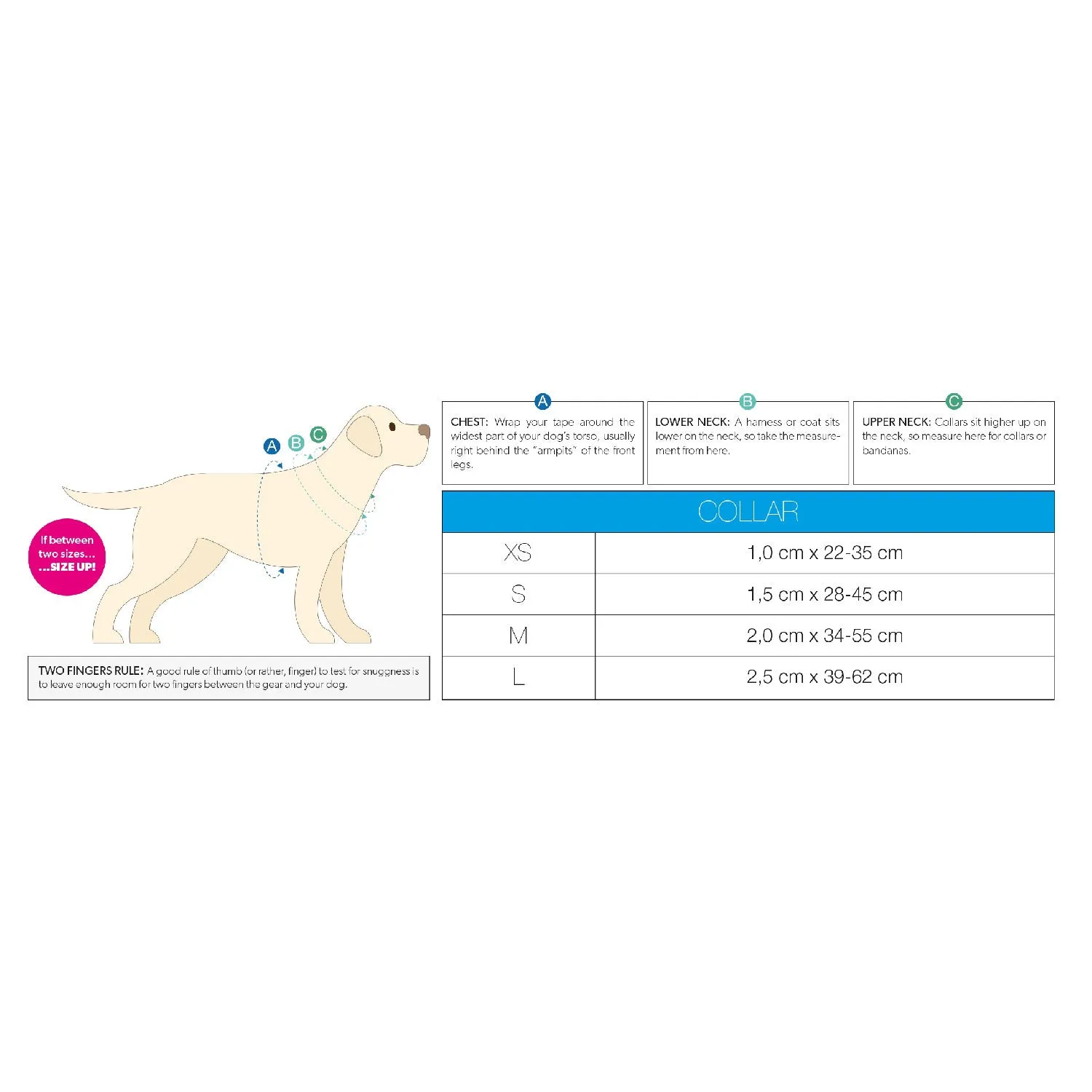 Smart ID Dog Collar with QR code tag- "Playtime 2.0"