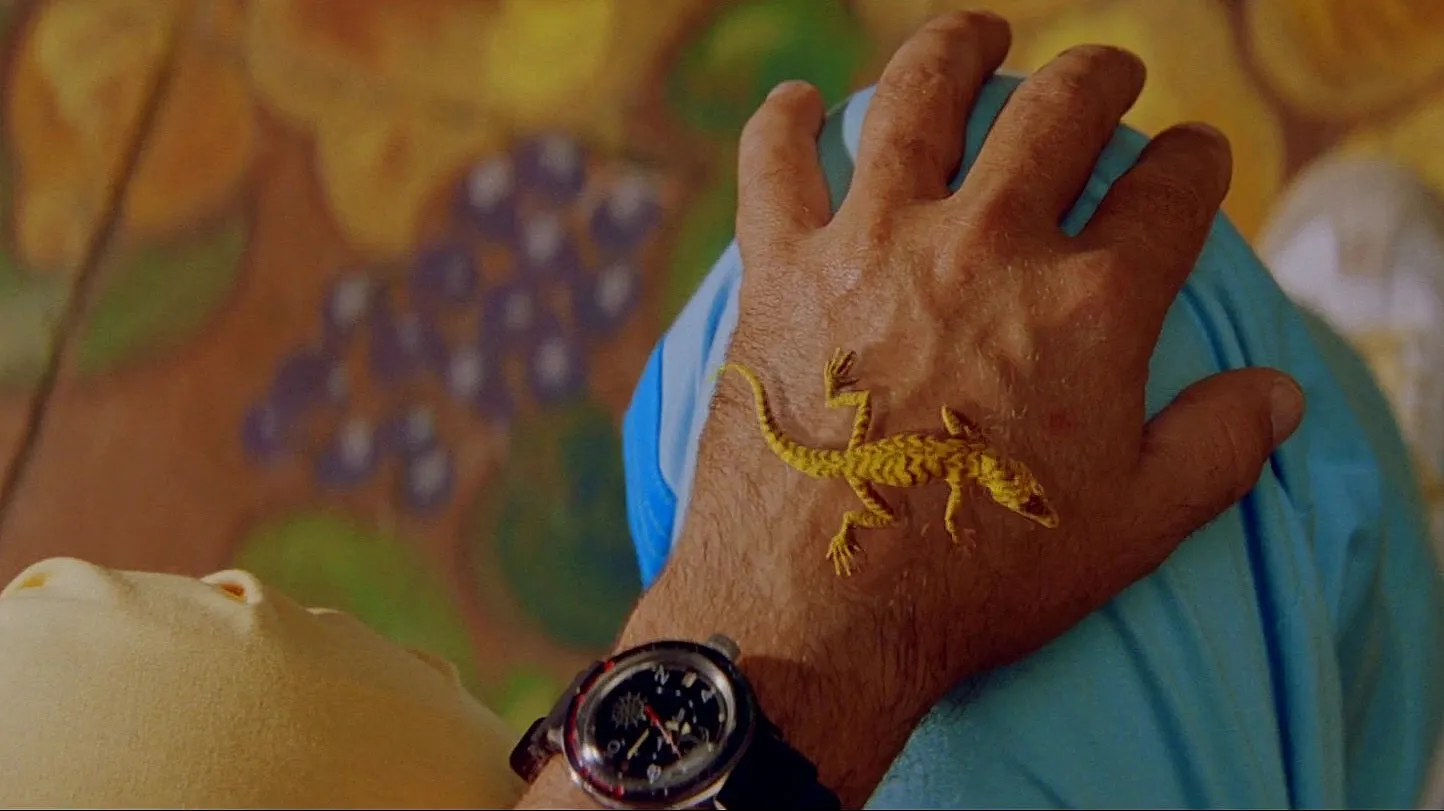 Steve Zissou Watch