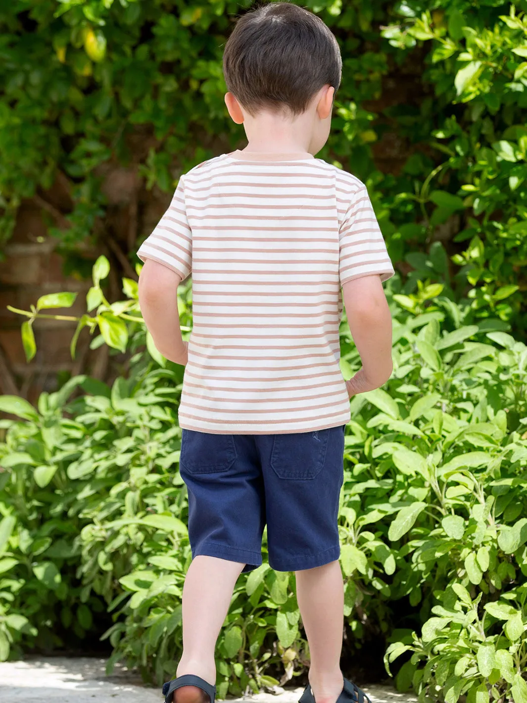 Yacht shorts navy